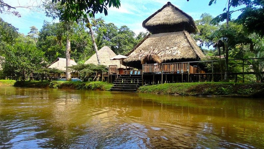 Amazon Rainforest (Cuyabeno), Sucumbíos Province, Ecuador